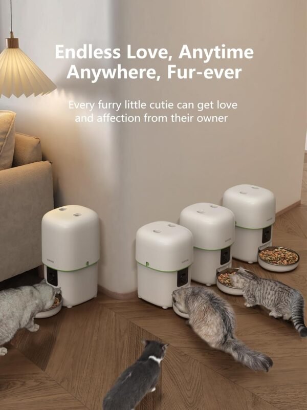 Comedero Automático para Gatos con Cámara