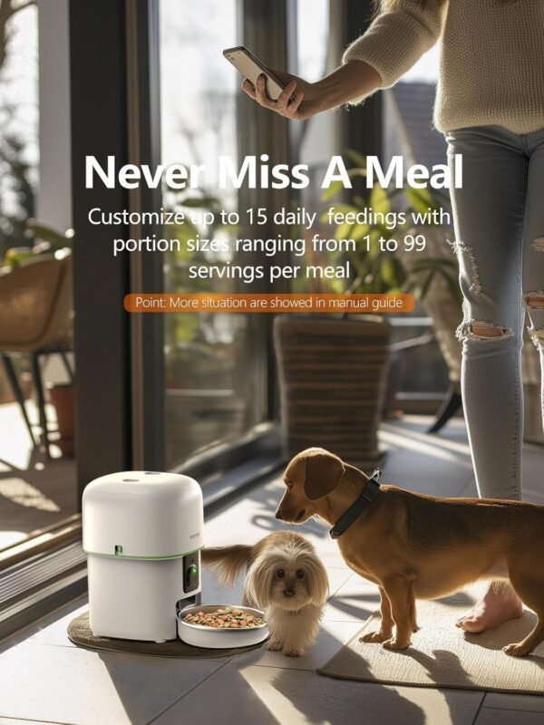 Comedero Automático para Gatos con Cámara